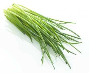 A bunch of fresh chives © sundebo